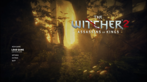 The Witcher 2: Assassins of Kings